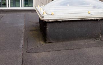 disadvantages of Sharow flat roofs